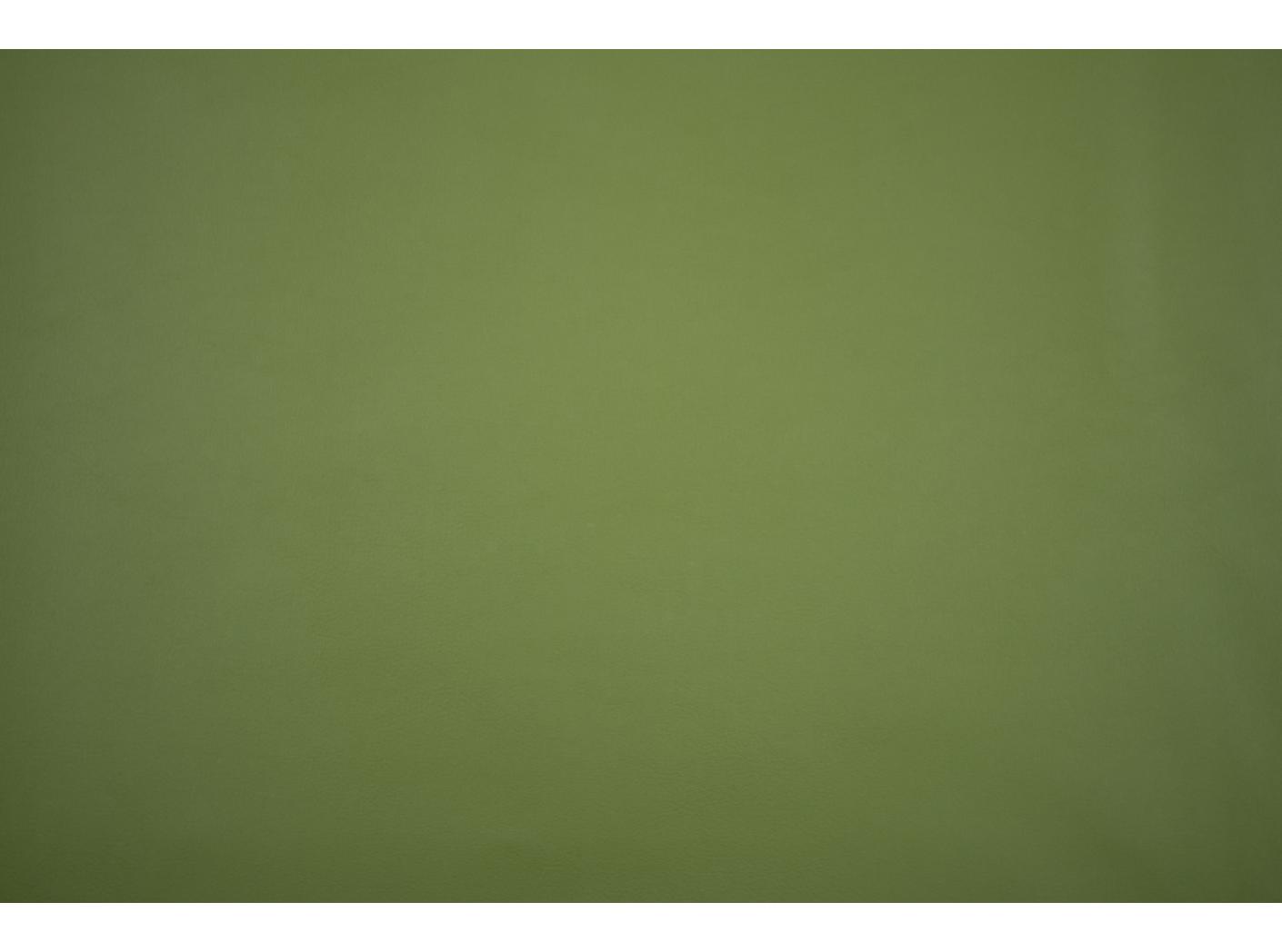 Illusion 3.0 73677 Cedar green Illusion 3.0 73677 Cedar green