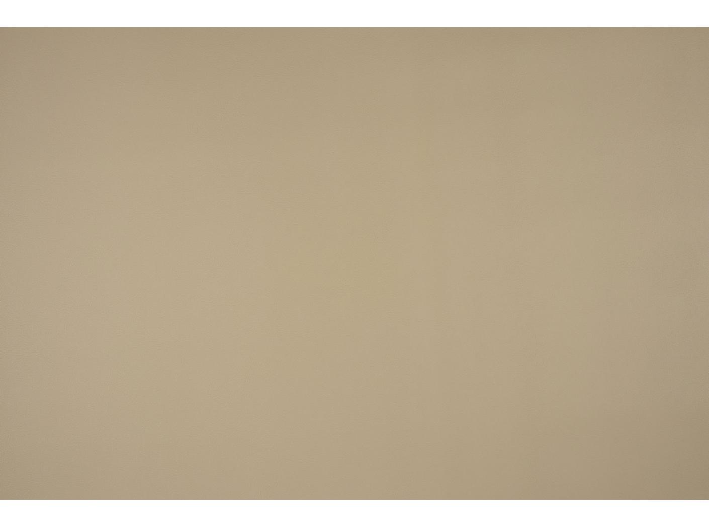 Pallas 021602 Cashmere Pallas 021602 Cashmere