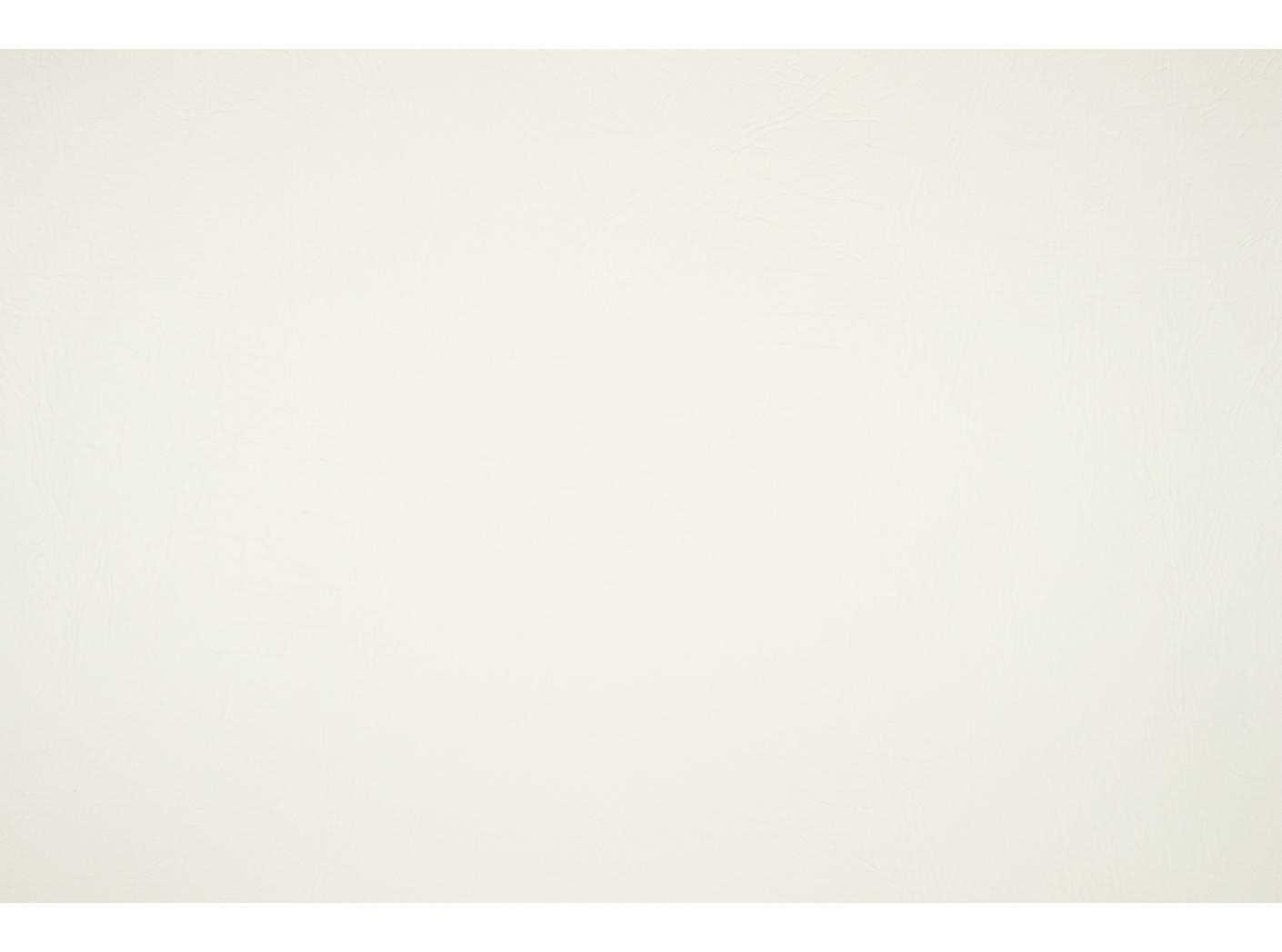 Apollo 873 White dove Apollo 873 White dove