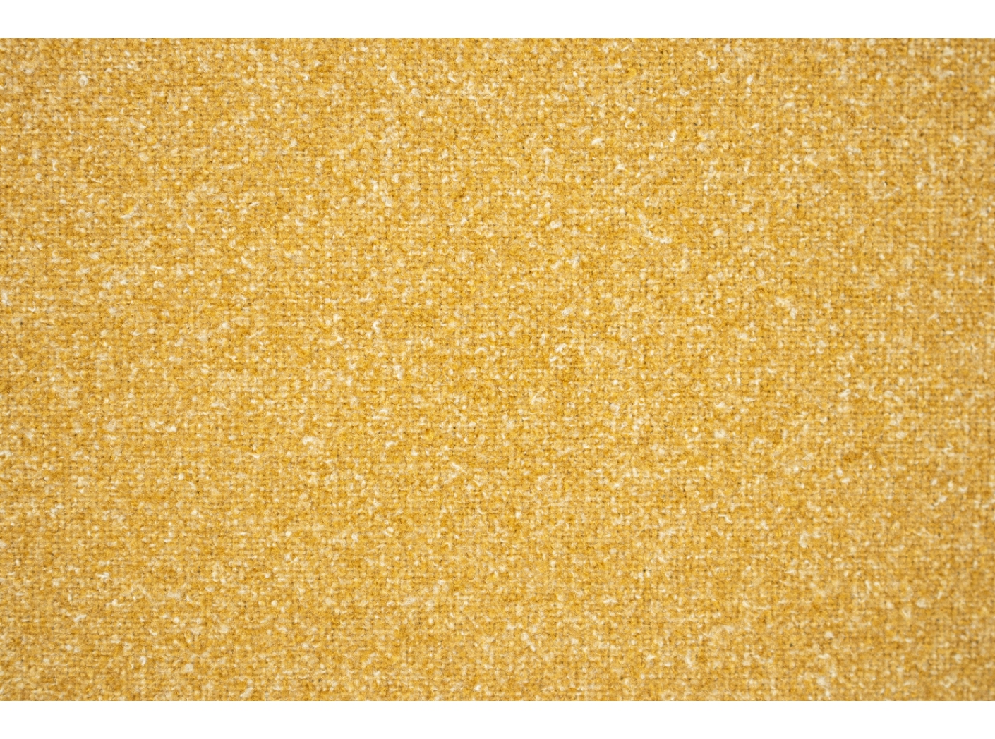 Coco 3005 Corn Coco 3005 Corn