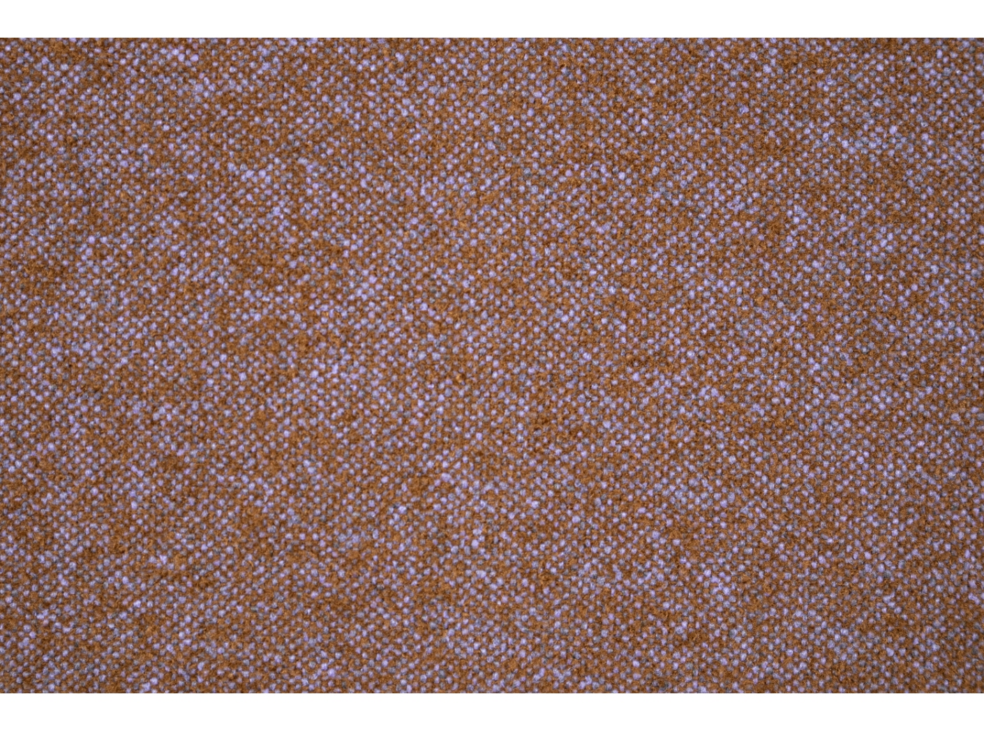 Coco 9521 Brown purple Coco 9521 Brown purple