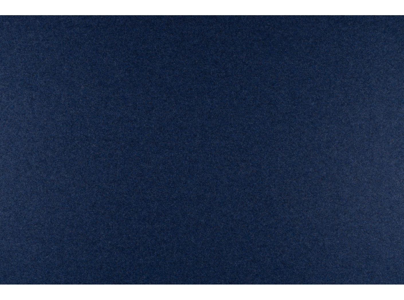 Wooly 2019 marine 2 Wooly 2019 marine 2