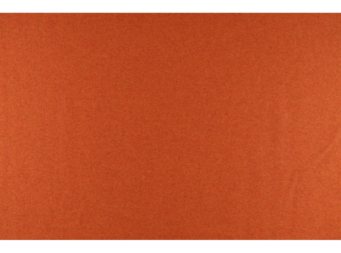Wooly 2012 B terra 31 Wooly 2012 B terra 31