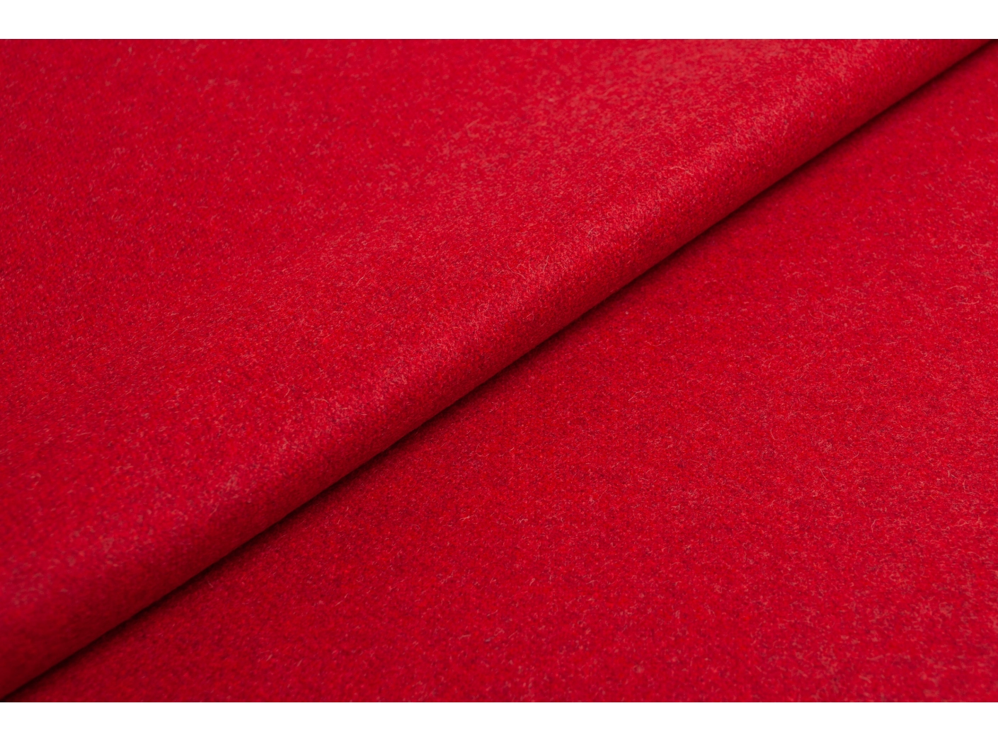 Wooly 2011 tulip 41 Wooly 2011 tulip 41