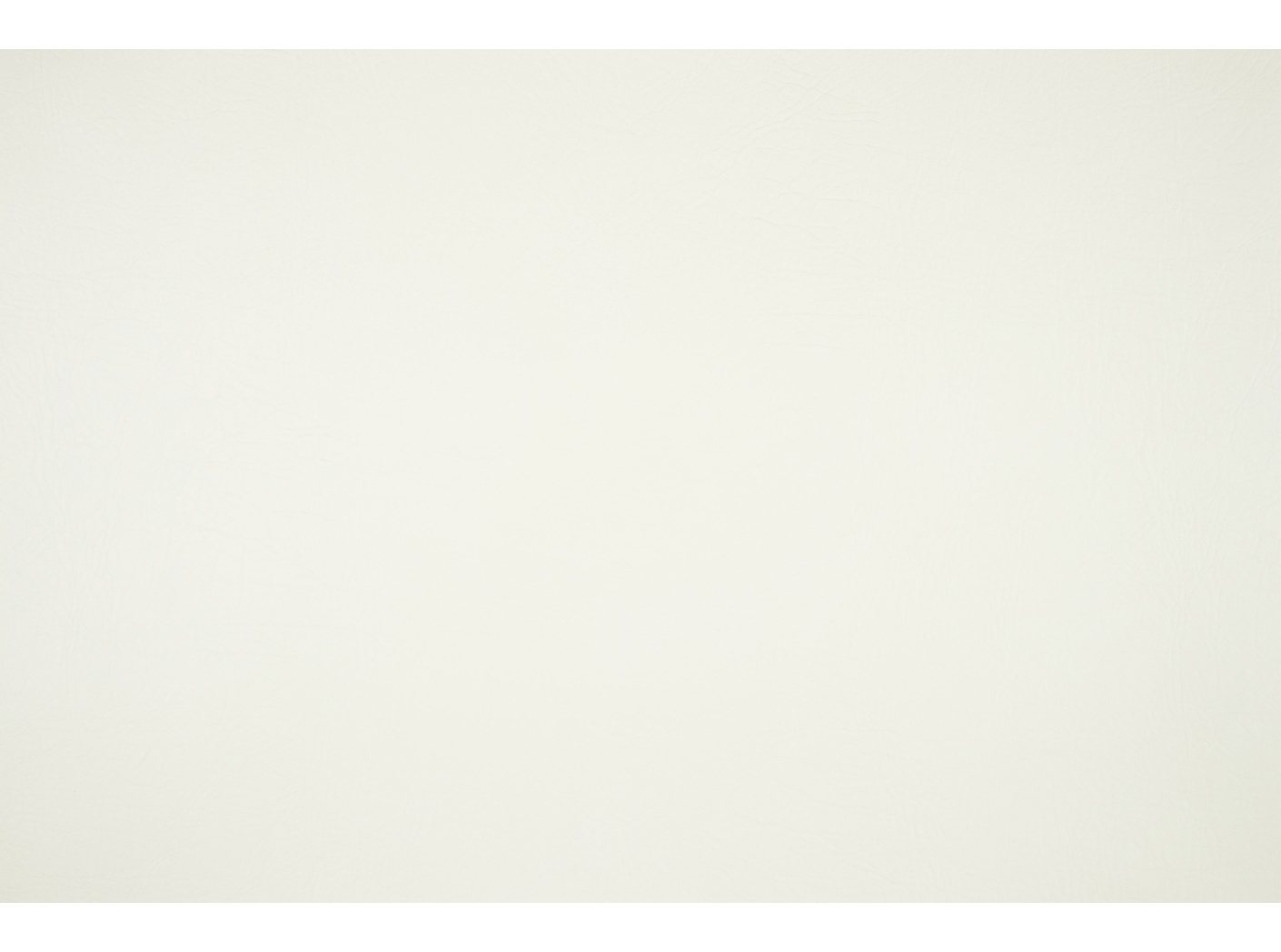 Apollo 873 White dove Apollo 873 White dove