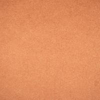 Kalama DC Salmon 1105