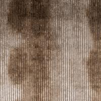 Barok Stripe 501 Marrone Chiaro