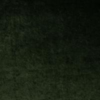 Grand Lazio Velvet 00Z3 Bottle green