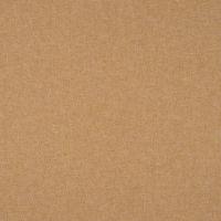 Jazz CS 81 Apricot 9116