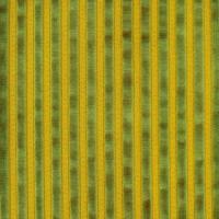 Noblesse 3 grønn 247020