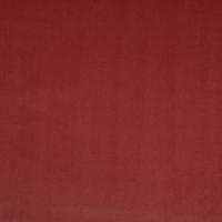 Ritz Trend 2491, mango