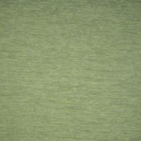 Studio CS 9807 Peperomia