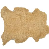 Fåreskinn Canberra Honey