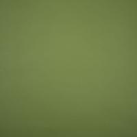 Illusion 3.0 73677 Cedar green