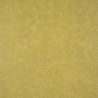 Select 029 Kiwi 01201029