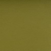 Silvertex 5019 Celery