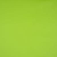 Amalfi 010427 Parakeet