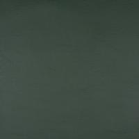 Apollo 861 Dark green