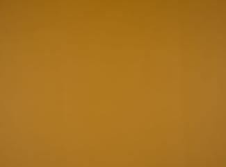 Illusion 3.0 36850 Mustard Illusion 3.0 36850 Mustard