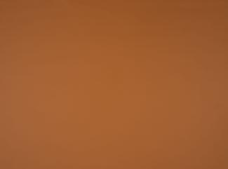 Illusion 3.0 44184 Buckskin Illusion 3.0 44184 Buckskin