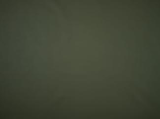 Illusion 3.0 76296 Dusty olive Illusion 3.0 76296 Dusty olive