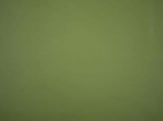 Illusion 3.0 73677 Cedar green Illusion 3.0 73677 Cedar green