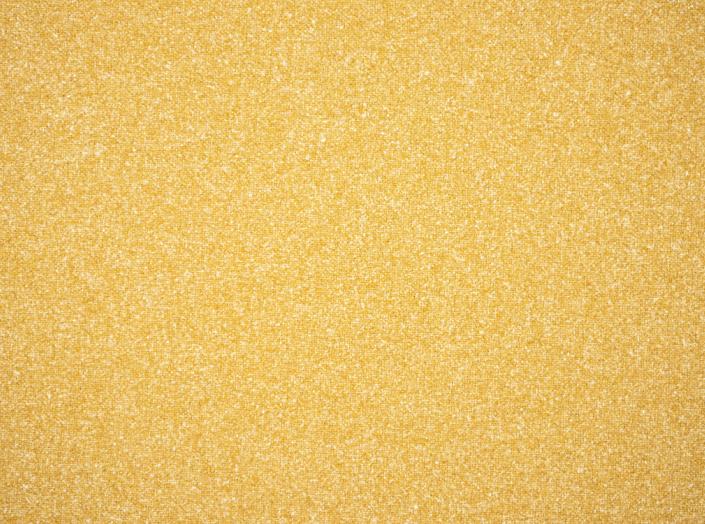 Coco 3005 Corn Coco 3005 Corn