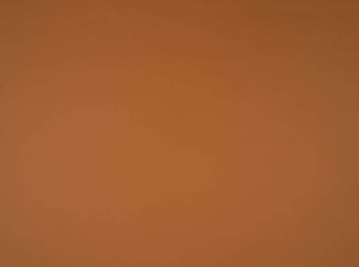 Illusion 3.0 44184 Buckskin Illusion 3.0 44184 Buckskin