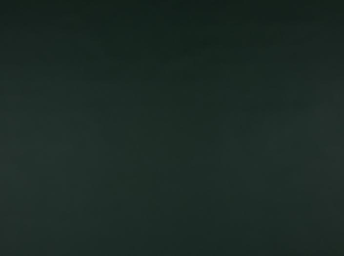 Illusion 3.0 77773 Dark green Illusion 3.0 77773 Dark green