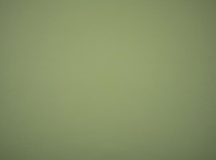 Illusion 3.0 71220 Sage Illusion 3.0 71220 Sage